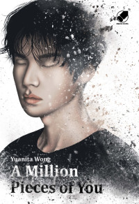 A MILLION PIECES OF YOU