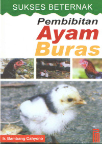 SUKSES BETERNAK PEMBIBITAN AYAM BURAS