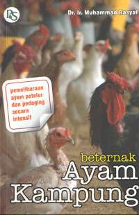 BETERNAK AYAM KAMPUNG : Pemeliharaan Ayam Petelur dan Pedaging Secara Intensif