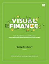 VISUAL FINANCE